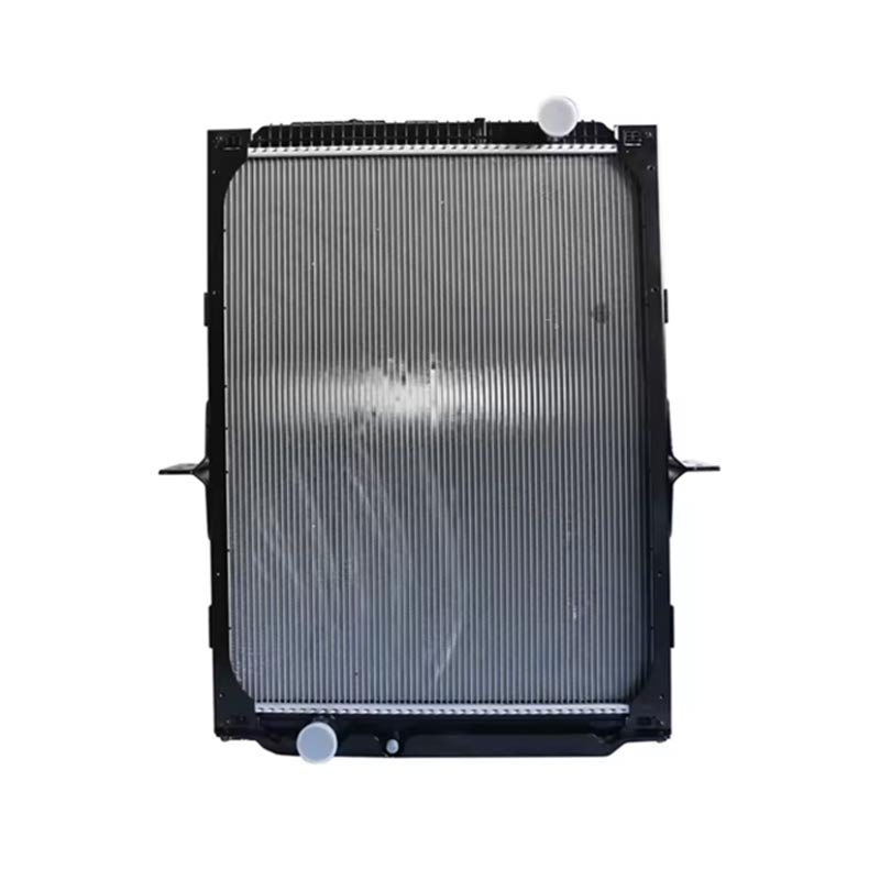 Motor-osagarriak Erradiadorea DZ91125328